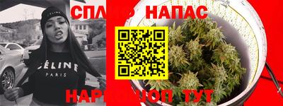 стафф Обь